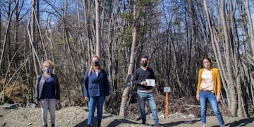 Entrega de lotes (web)