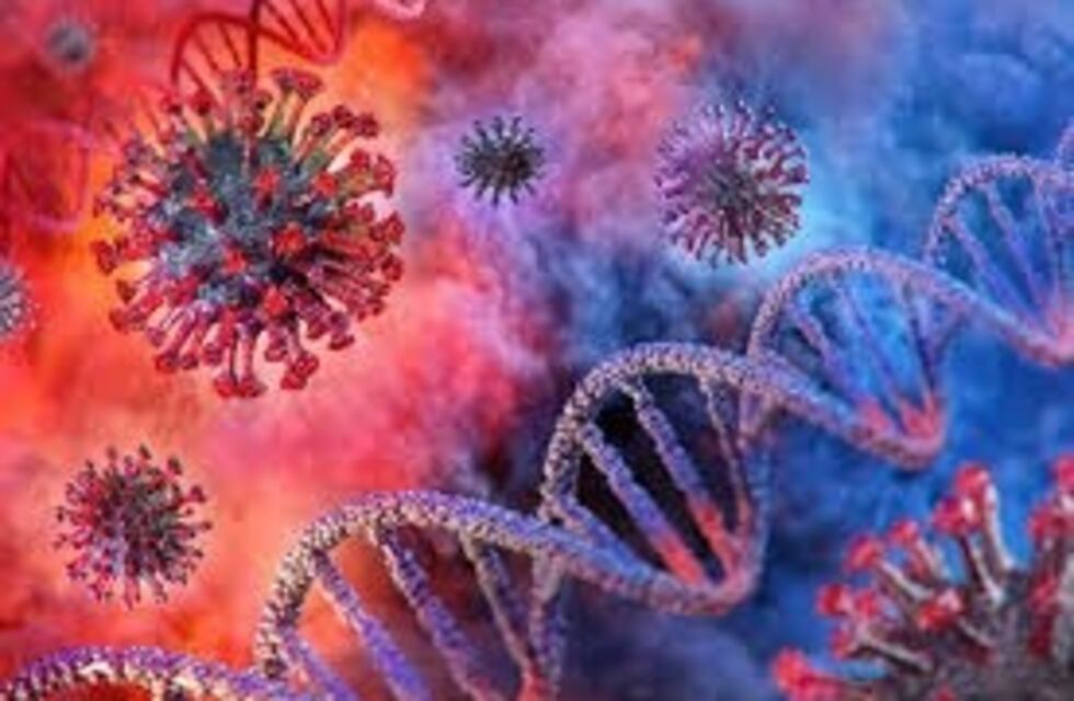 Mendoza continúa sin nuevos casos de coronavirus