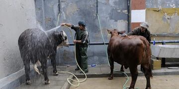 EXPOSICION De Ganaderia Agricultura e Industria