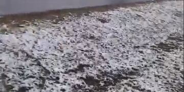 Nieve en San Luis