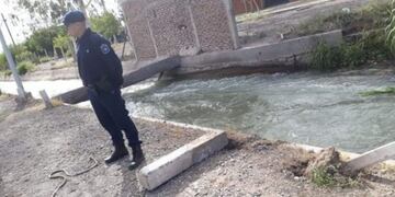 Cayó al canal y murió\u002E