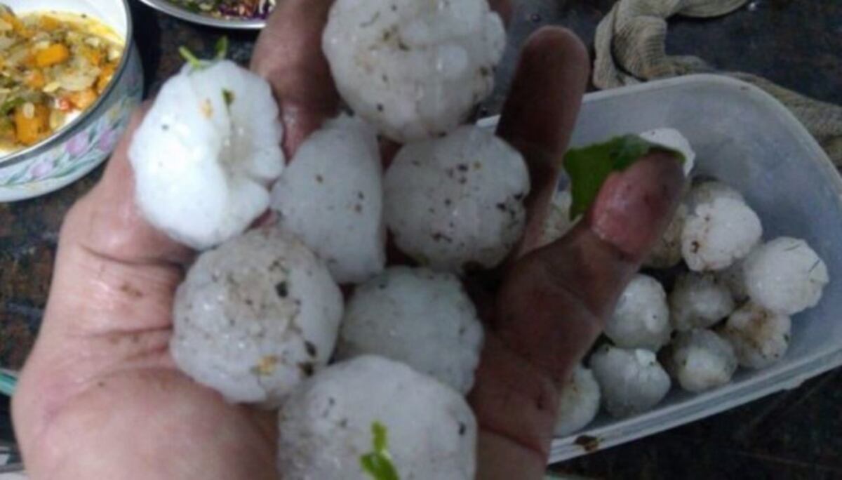 Granizo en Pergamino (@rivadavia630)\u002E