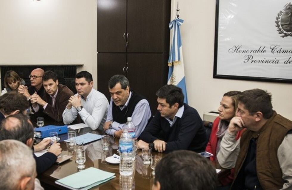 Polilla de la vid: polémica entre el oficialismo, la oposición y en el medio los productores