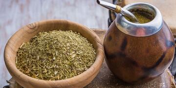 Trabajan en una yerba mate que baje el colesterol y los triglicéridos\u002E