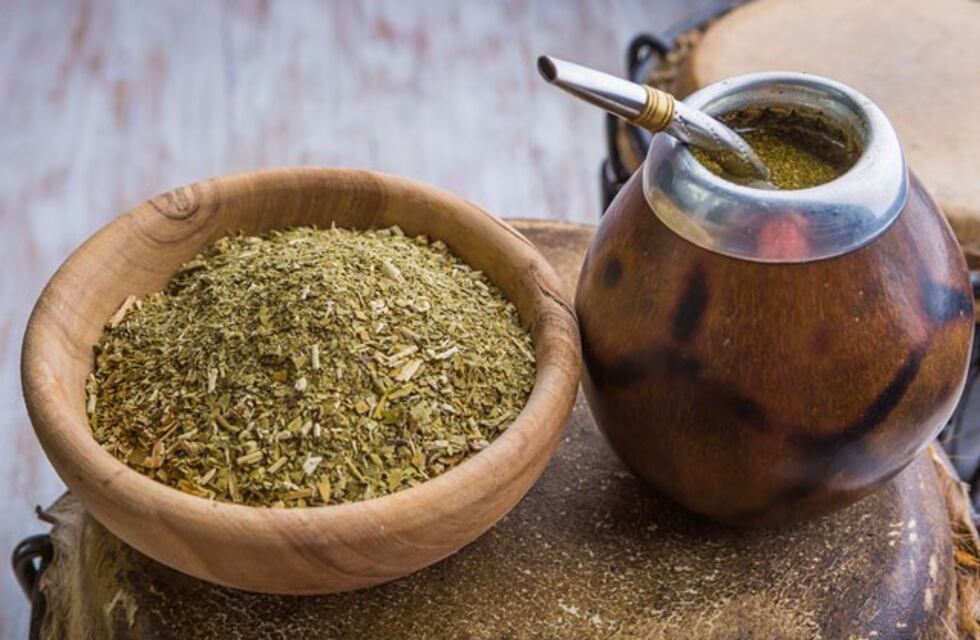 Investigadores rosarinos trabajan en una yerba mate que baje el colesterol y los triglicéridos