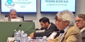 El viernes se decidirá las probation a los imputados\u002E