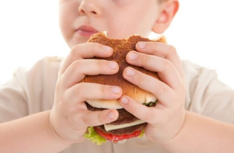 Uno de cada cuatro alumnos mendocinos tiene obesidad