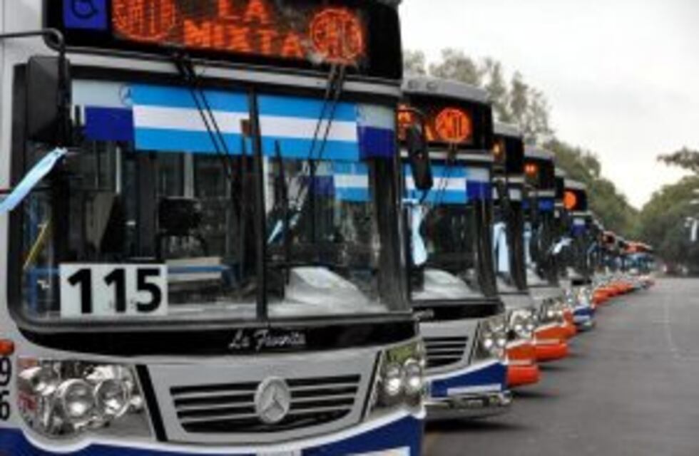 Fein dijo que la tarifa actual de colectivo es "accesible" y en marzo evaluarán si se aumenta