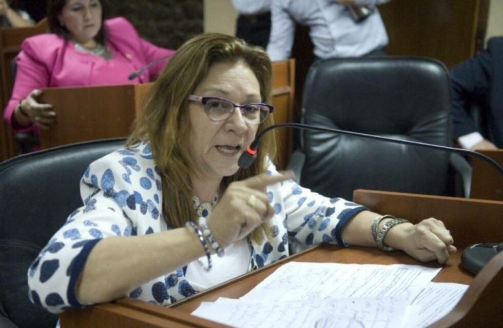 Fernández sobre el proyecto de ley: "El tema central es evitar el cobro del plus"