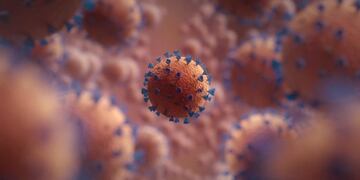 coronavirus
