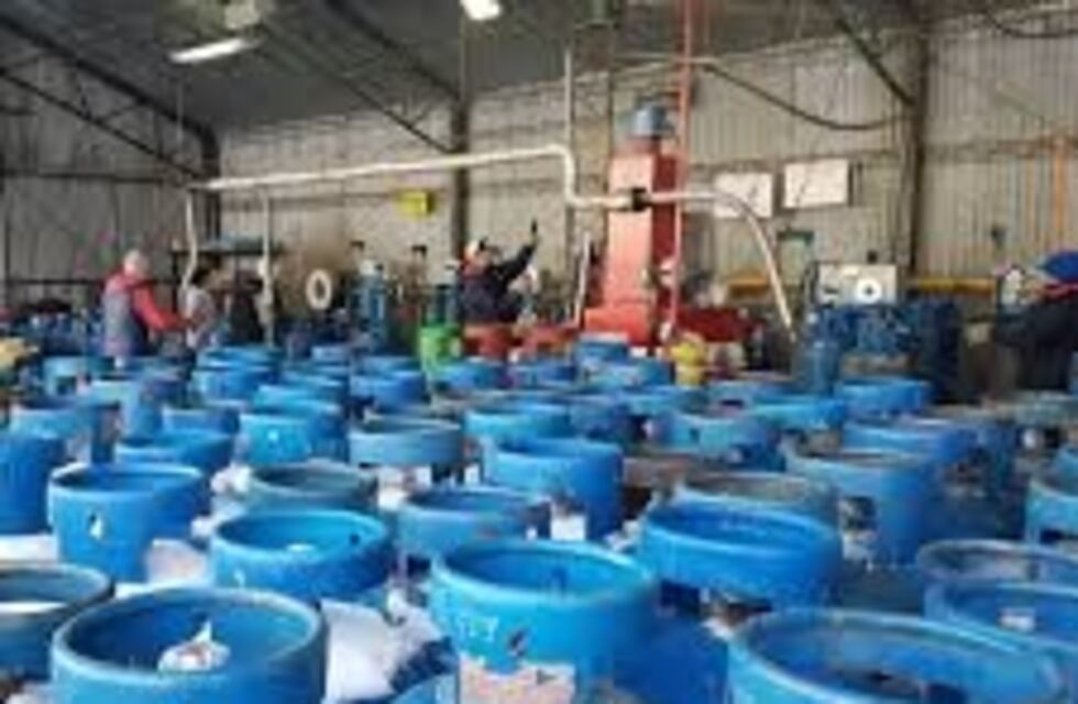 Modifican modalidad de atención y distribución de gas envasado