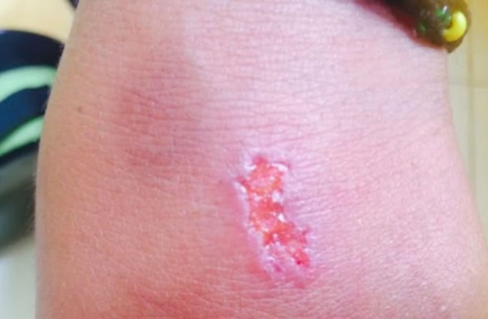 El Abecedario del Diablo: el peligroso juego tras La Ballena Azul