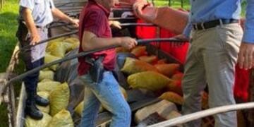 Droga en Montecarlo\u002E