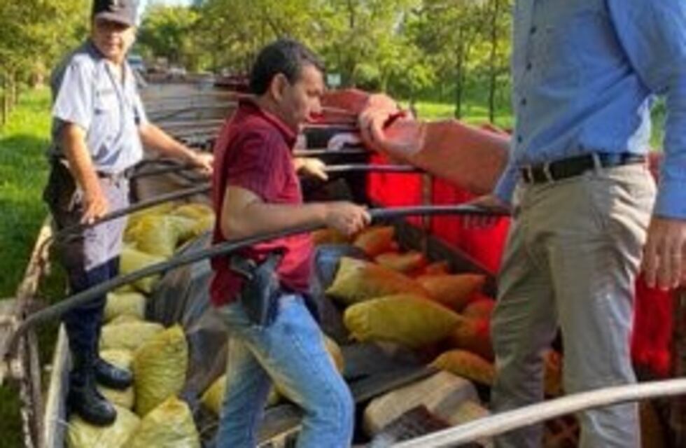 Tras un operativo en Montecarlo se incautaron 10 mil kilos de marihuana