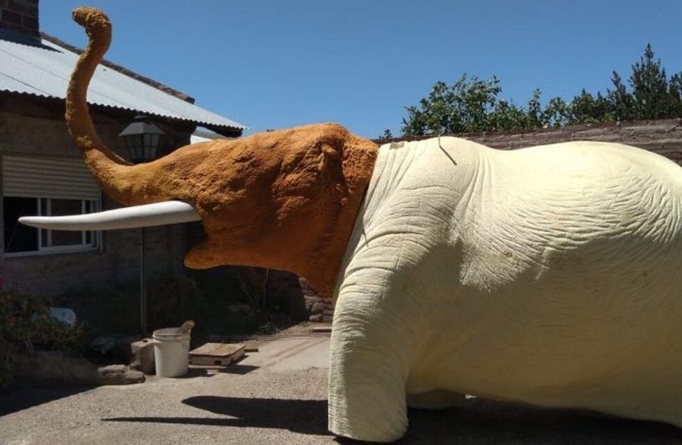 Pehuen Co: un nuevo habitante llega a Plaza Carrasco