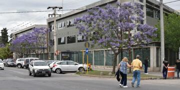 El bebé está internado en el Sanatorio Allende del Cerro\u002E