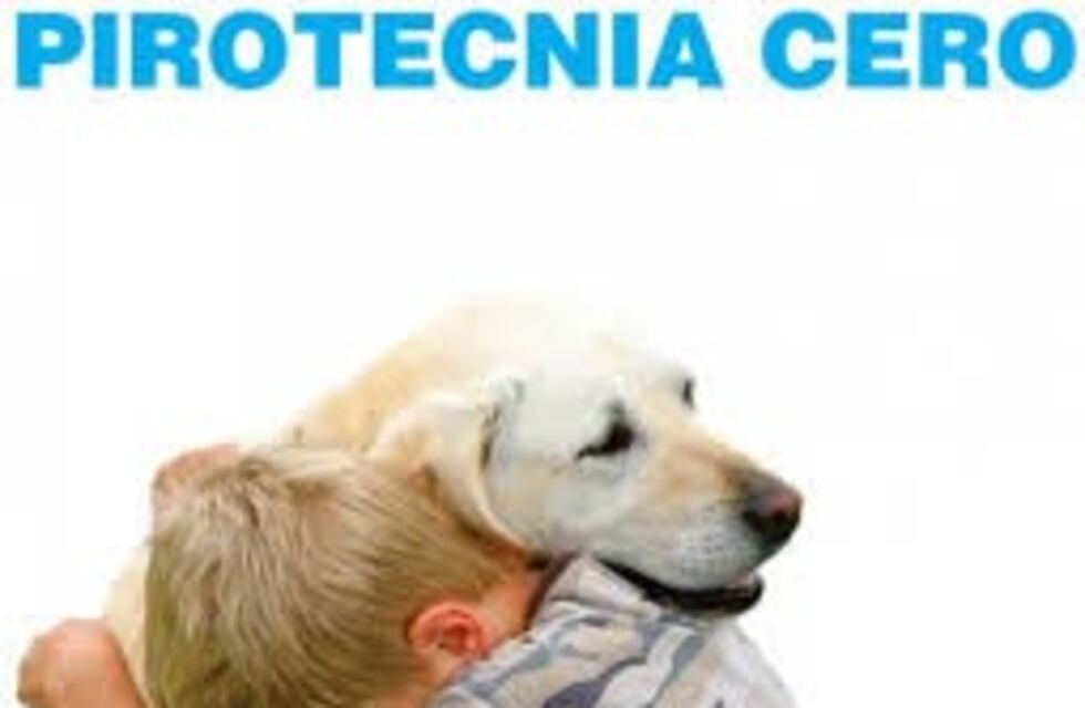 Frontera también podría ser libre de pirotecnia