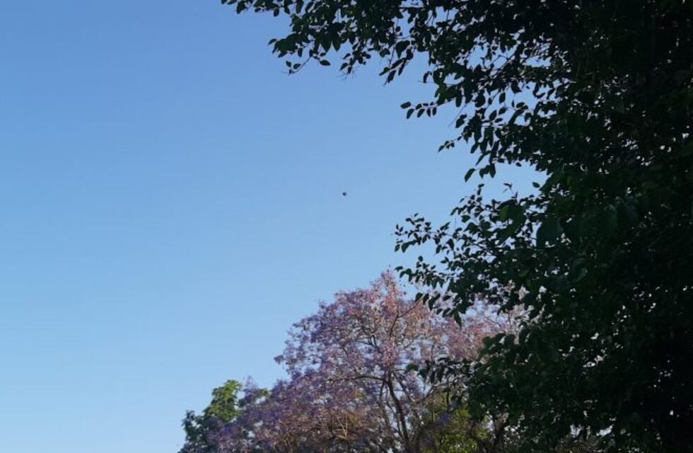 Domingo soleado y con pocas nubes en Pérez