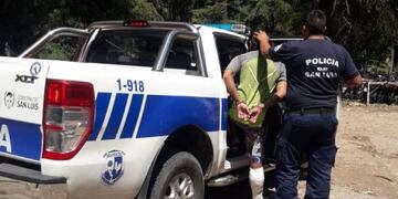 Robaron 32 cajas de vino