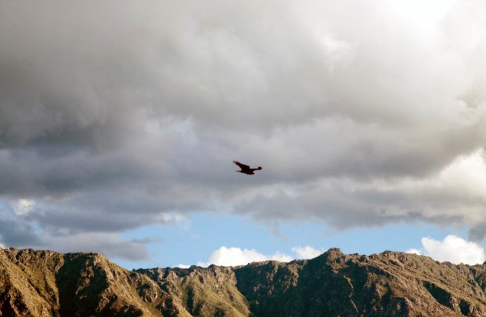 Nono realizará una jornada al aire libre por el día del Medio Ambiente