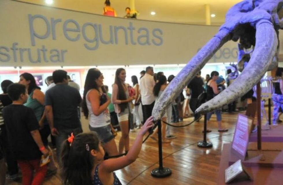 La Noche de los Museos en Córdoba: la agenda completa para este viernes