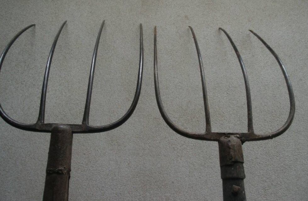 Malos vecinos: reparaba el auto en la vereda y un hombre de la misma cuadra le clavó un rastrillo