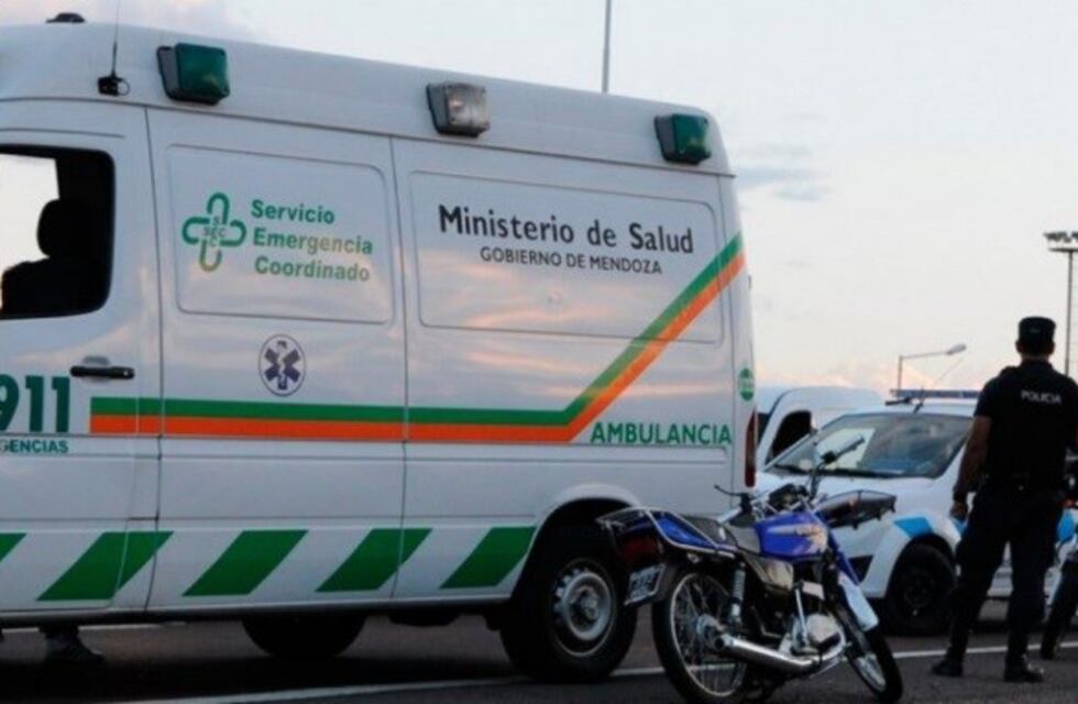 Se le rompió el auto, chocó contra una trafic y murió