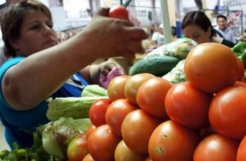 Tomate barato: ¡últimas semanas!
