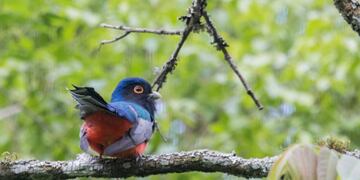 David Bernacki (Gentileza de David Bernacki, La cara oculta de Salta Turismo Aventura)