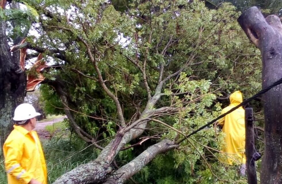 Frente de Tormenta: Protección Civil trabaja en el monitoreo y articulación con municipios