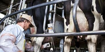 La industria láctea llevó a Macri planteos de competitividad, rentabilidad y financiamiento\u002E