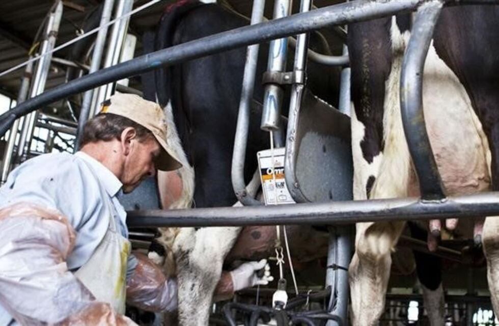 La industria láctea llevó a Macri planteos de competitividad, rentabilidad y financiamiento