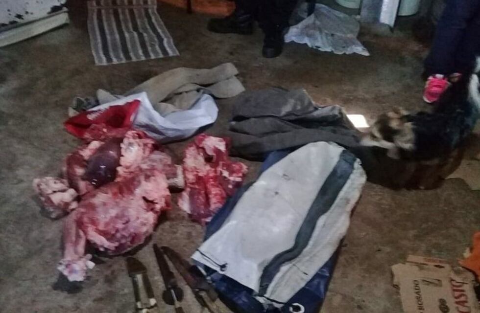 Faena clandestina: secuestraron más de 40 kilos de carne