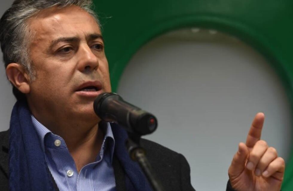 Polilla de la vid: el Gobierno mendocino destacó la lucha contra la peor plaga de la historia