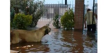 Temporal en Tucumán