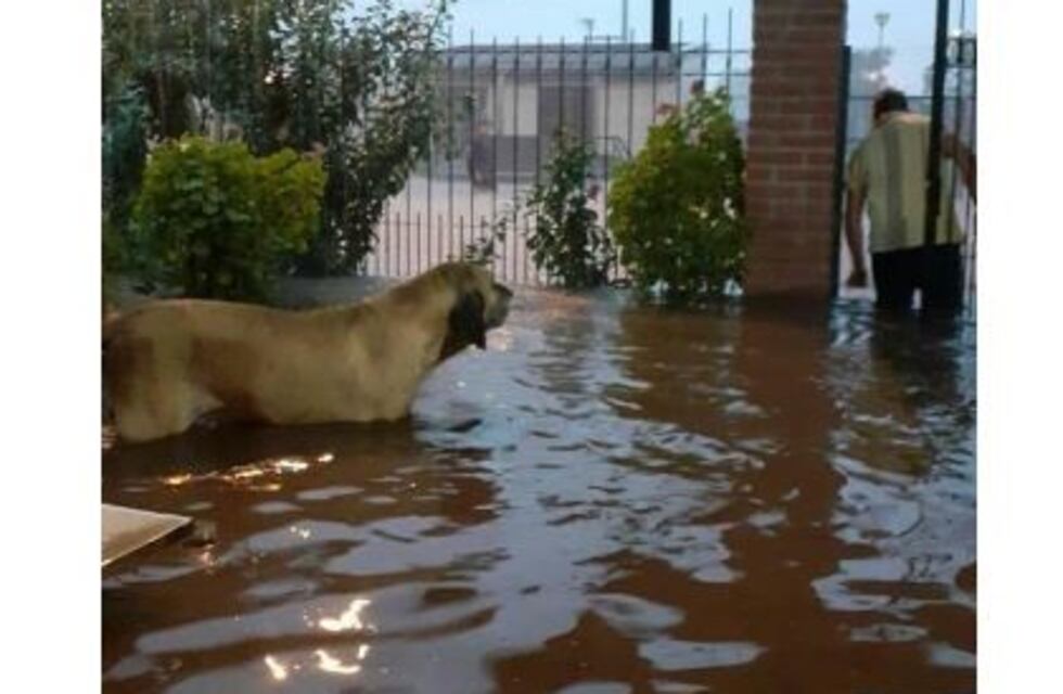 Fuerte temporal en Tucumán