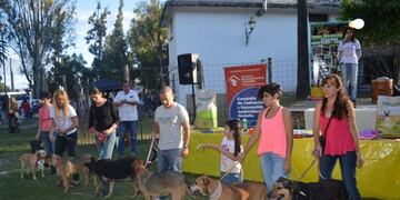 Se realizará en Campo La Cruz el festival “Juntos por los animales”\u002E (Municipalidad de Salta)