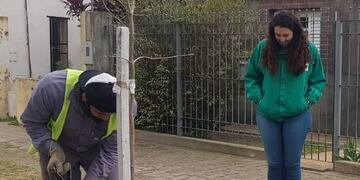 Plan de forestación en Rafaela