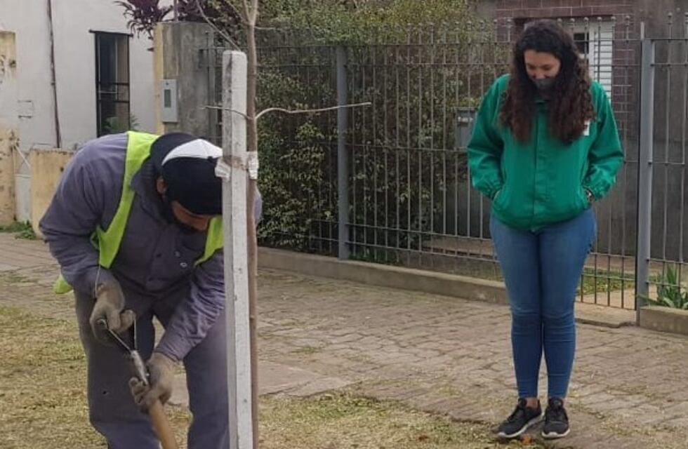 Comenzó el plan de forestación en la ciudad