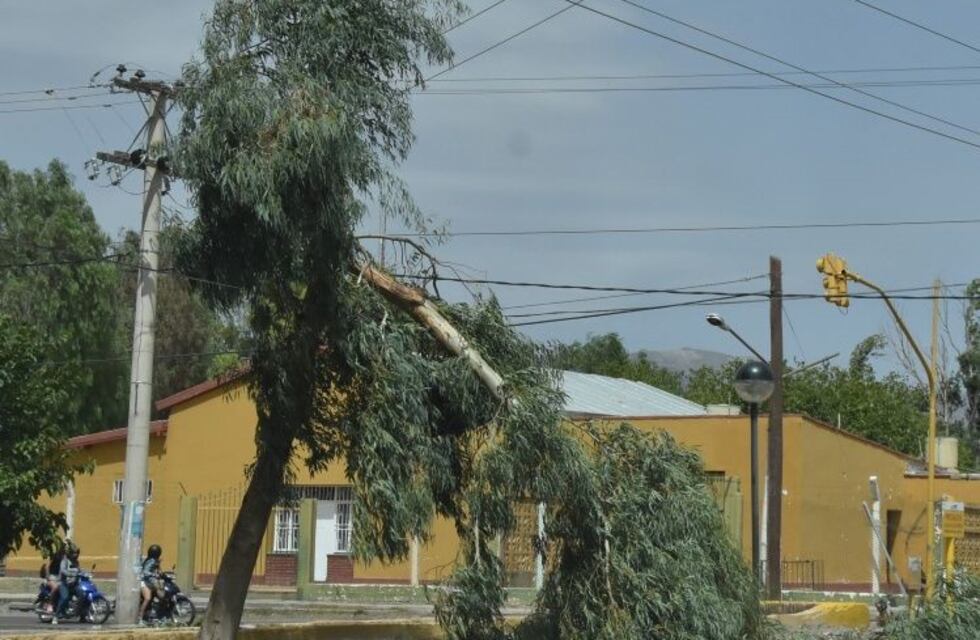 San Juan: por el ventarrón trabajaron 640 personas entre policías y bomberos