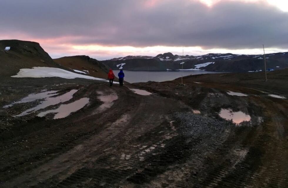 Emergencia ambiental: la Antártida triplicó el ritmo de deshielo en 26 años