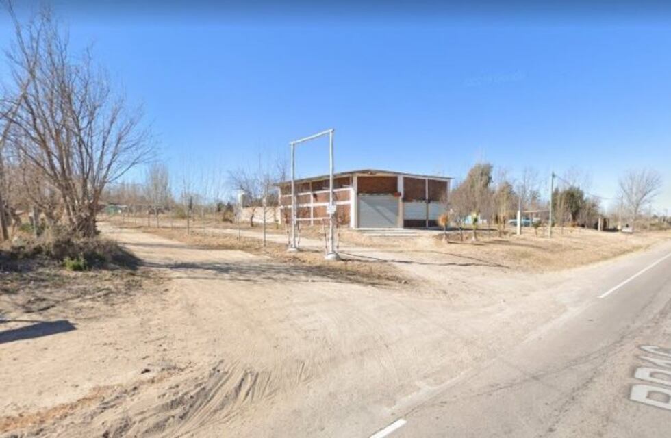 Escena de terror: encontraron más de 30 perros envenenados en Luján de Cuyo