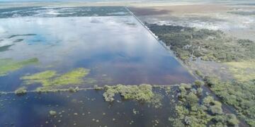 Campos inundados del Chaco\u002E