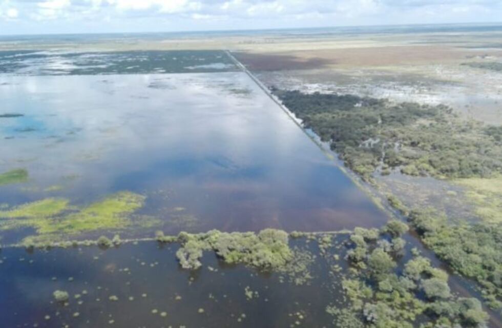 Las lluvias dejan a la cosecha de soja "en una vulnerabilidad extrema"