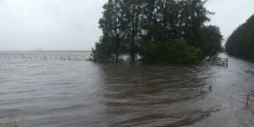 Las precipitaciones anegaron buena parte de los campos en la localidad de Mu00e1ximo Paz.