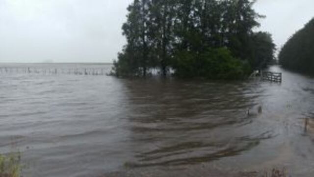 Las precipitaciones anegaron buena parte de los campos en la localidad de Mu00e1ximo Paz.