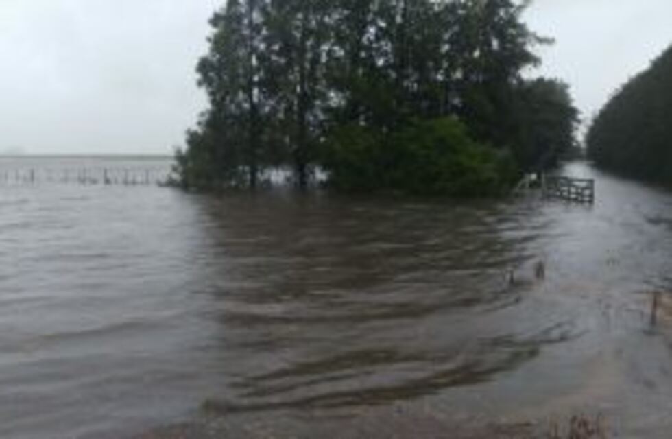 Productores aseguran que se perdieron u$s 3.800 millones en menos de un año