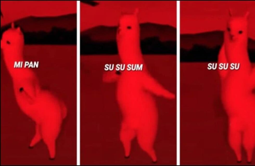 Qué significa "Mi pan su su sum", la canción que es furor en TikTok