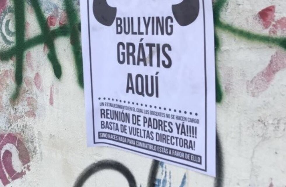 Harta del bullying a su hijo, una mamá empapeló la escuela