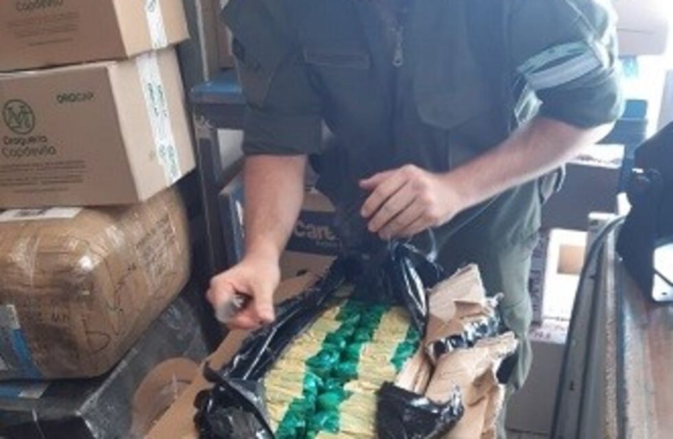 El olor que emanaba de los bultos facilitó el secuestro de 20 kilos de hojas de coca